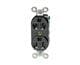 Molex 1301480078