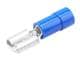Molex 19017-0031