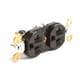 Molex 1301480102