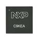 NXP Semiconductors C9KEAZN8AVTG