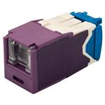 Panduit CJH6X88TGVL Enlarged Image