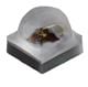 Cree LED XQARED-02-0000-000000W01
