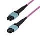 StarTech OS2MTP24BOFNP7M
