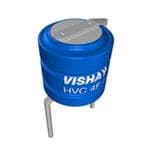 Vishay / BC Components MAL219691101E3 Enlarged Image